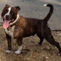 Profile image of TheEscapeDriver