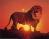 Profile image of Leo~Lion