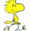 Profile image of George55219