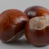 Profile image of Conkers76