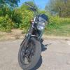 Profile image of Bikerbob