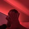 Profile image of Lookingforfun385