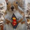 Profile image of SecretSquirrel78