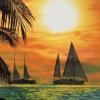 Profile image of passing ships