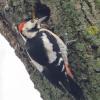 Profile image of WhenDovesCry78