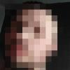 Profile image of curb101